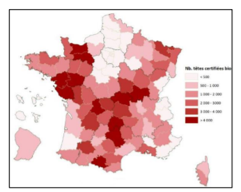 Repartition-du-cheptel