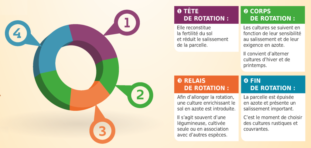 visuel-rotation