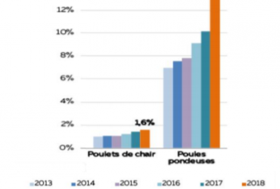 Evolution des cheptels nationaux de poulets de chair et de poules pondeuses conduits en bio de 2013 à 2018