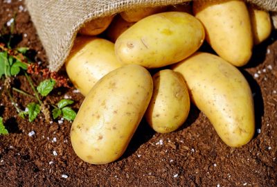 potatoes-1585075_1280