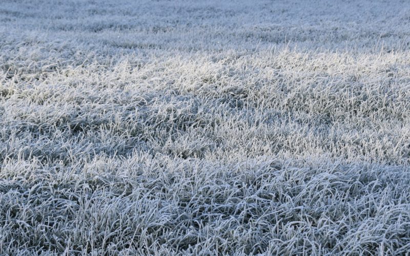 Prairie hiver