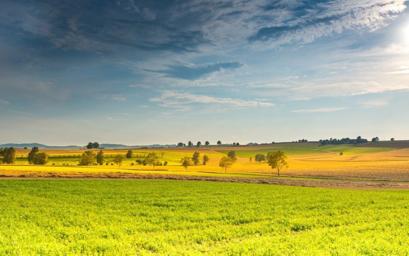 Prairie printemps